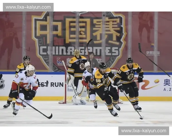 直播NHL：点燃你的冰球热情